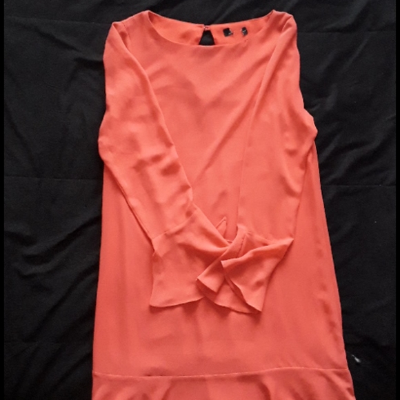 Flute Sleeve Shift Dress - Picture 9 of 9